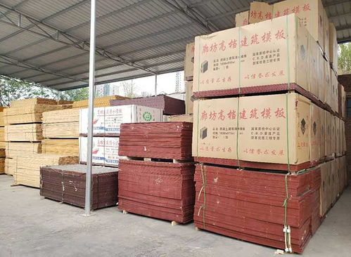 邯郸建筑模板批发与建筑砌块销售 河北闽能厂家的专业供应服务